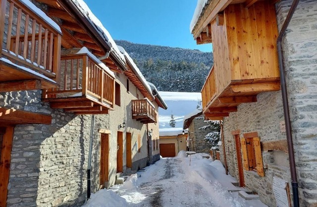 L'OURS BRUN - VAL-CENIS