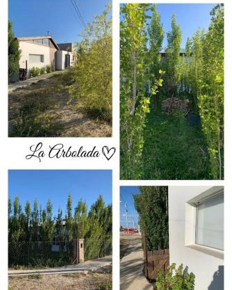 La Arbolada