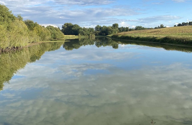 La Bergerie (the pond)