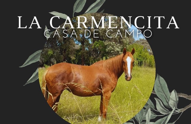 La Carmencita casa de campo, Manzanares, Pilar