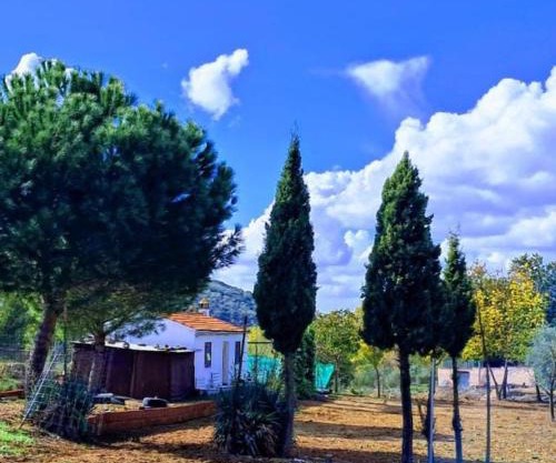 La casita del Abuelo