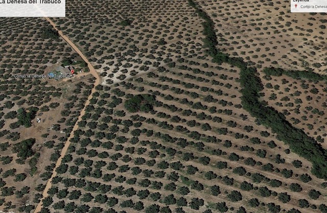 La Dehesa del Trabuco Farmhouse