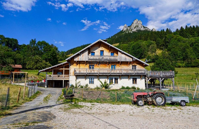 La Ferme de l'Âne Rouge - Holiday cottage -15 people including max. 12 adults