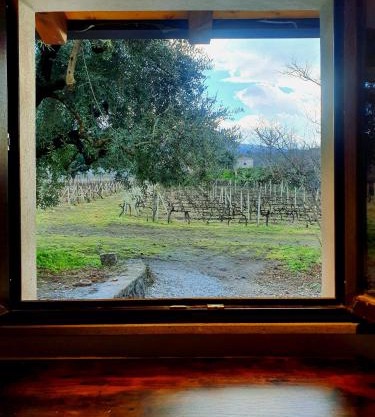 La finestra sul vigneto