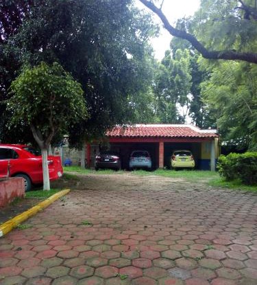 La lagartija
