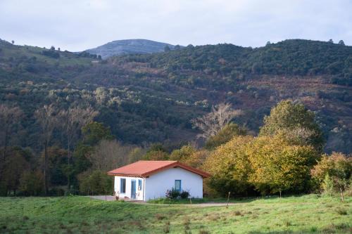 La madriguera azul