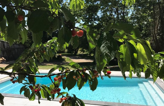 La Merise Gite