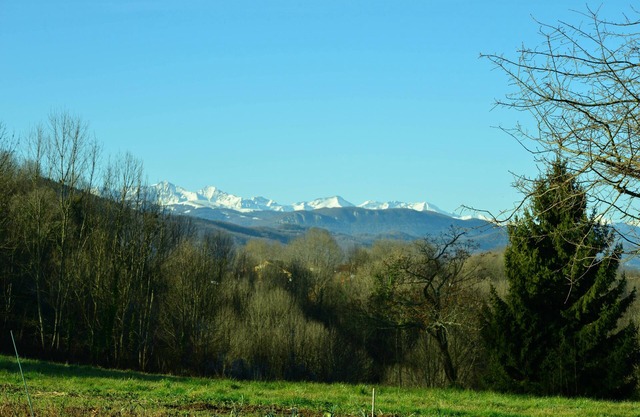 LA Pensee Sauvage, Spacieux Gite Avec Piscine Ressourcement Auprès des Plantes