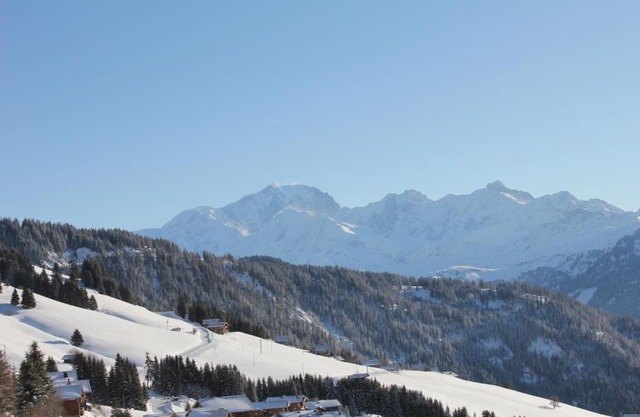La Perle Des Alpes C2