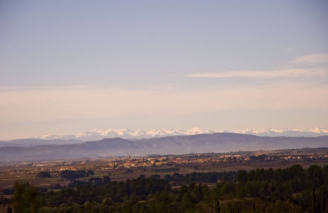 La Petite Cigale at the edge of Cesseras in a natural setting of rosemary