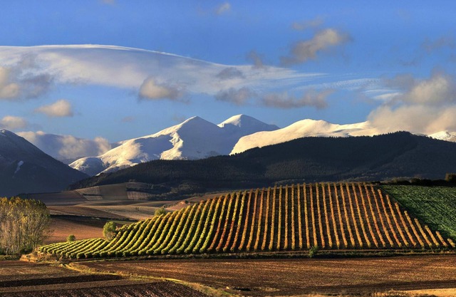 La Rioja