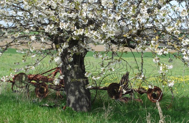 La Roche Pérégrine