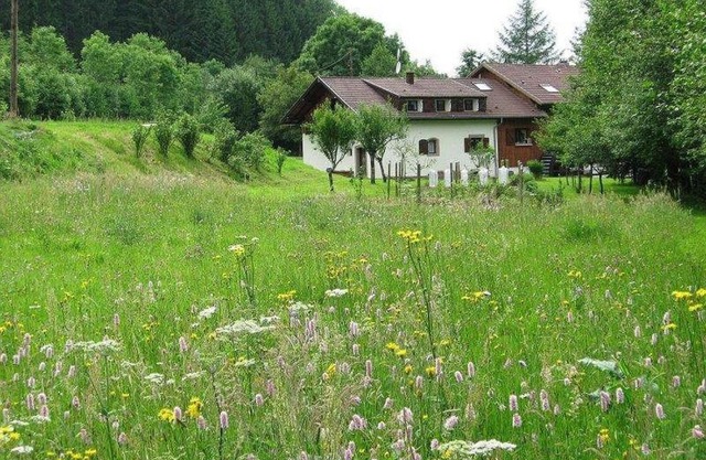 La Scierie