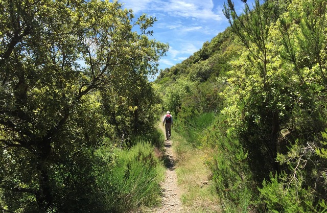 La Source - Mountain Getaway - Southern France