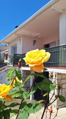 La Tenería Chalet