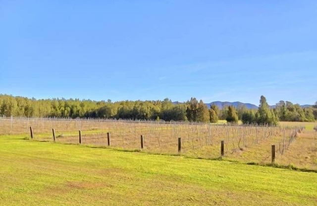 La Vigna Function and Wedding Accommodation the whole vineyard sleeps up to 40