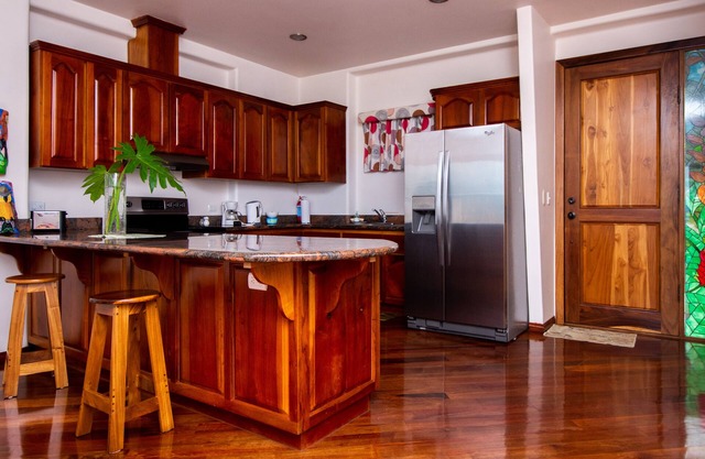 LAKE ARENAL VIEWS NEW CONDO 1B/1 B FULL KITCHEN