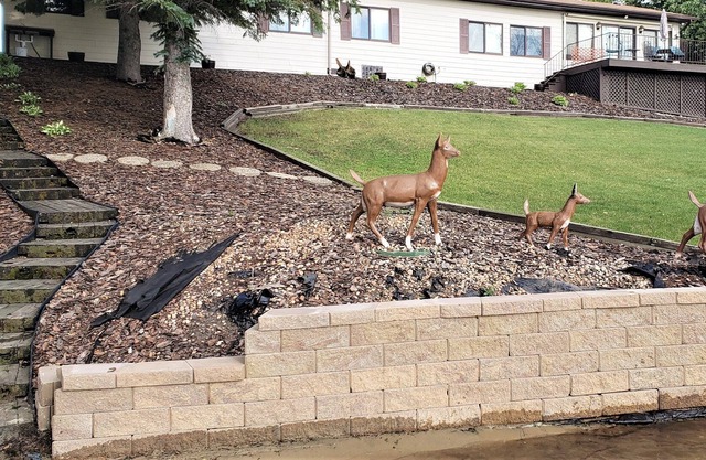Lake front 3-bedroom & den/reading room. Wrap-around deck and great lake views!