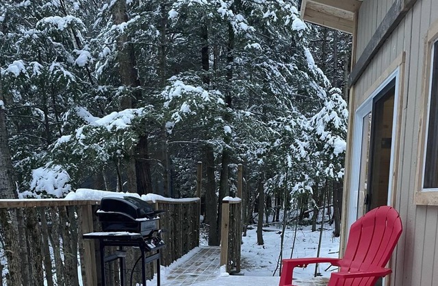 Lake front cabin, with a seperate cabin with kitchenette and a bathroom.