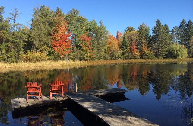 Lake Hayward Log Cabin-Close to Everything