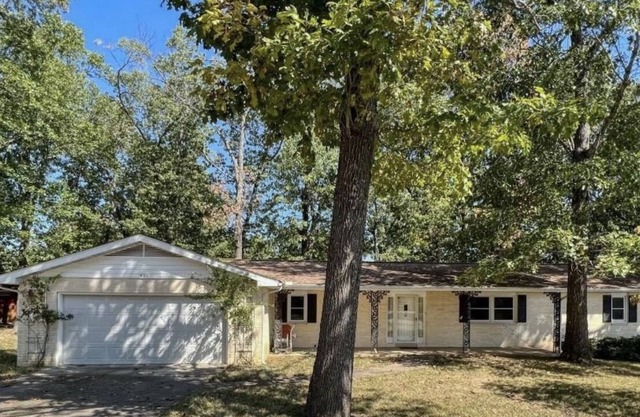 Lake House with Direct Access to Lake Norfork!