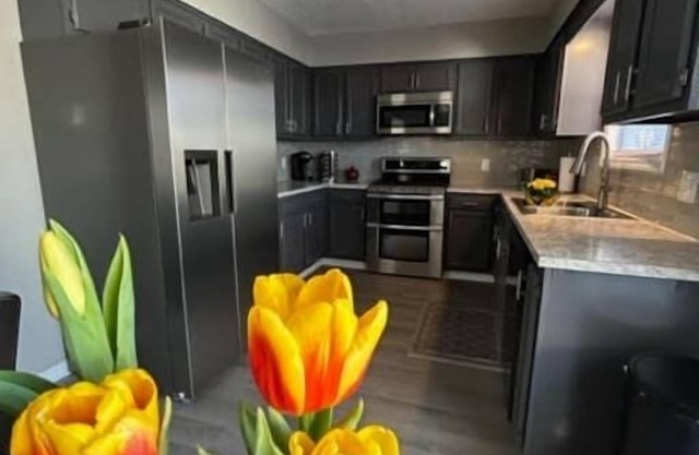Lake View House-Trail access/Dog Friendly- 3 Bdrm