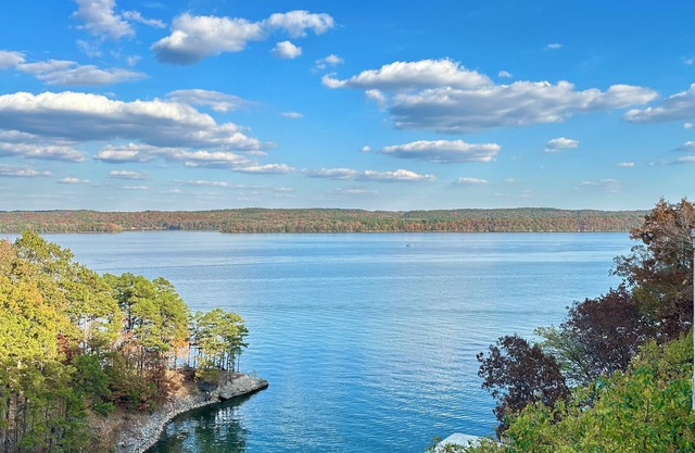 Lakefront Estate w/sensational views, boat slip, & pool. 3 mi to State Park