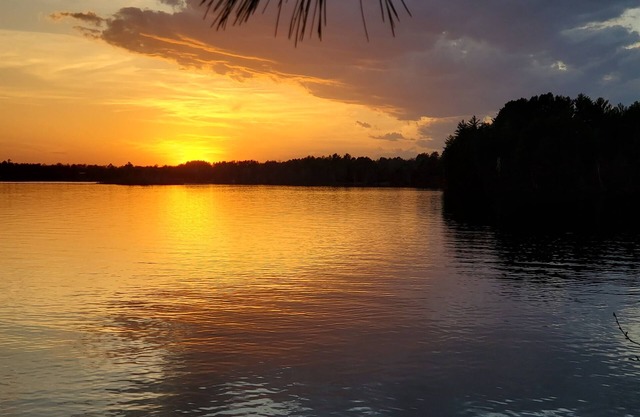 Lakefront Lodging, Beach, Fire Pit, Bar & Grill, Rentals, Live Music, Trails