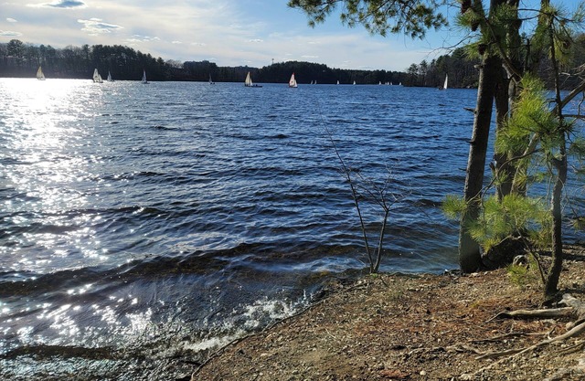 Lakefront private house secluded yet close to everything 3bed 2bath w gameroom!