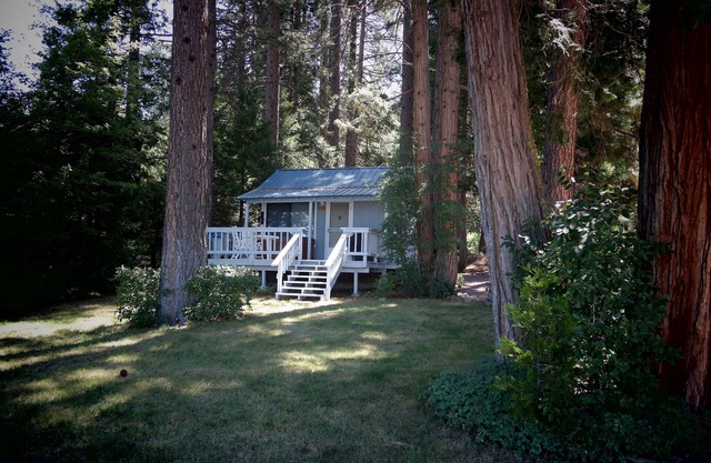 Lakefront Romantic Getaway - The Little Blue Cabin