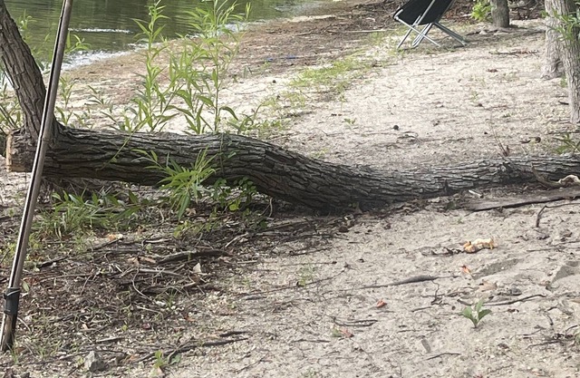Lakefront Tent Site @ St. Babs Grande Retreat