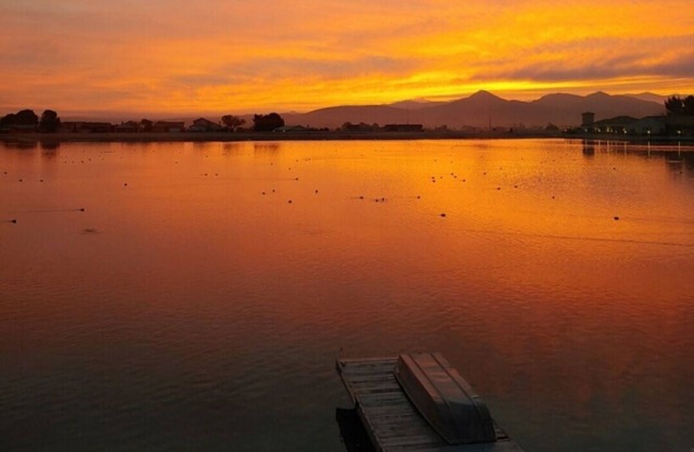 Lakefront Tranquility at it's best