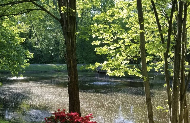 Lakeview - Tranquille and private suite Located 20 minutes from D.C