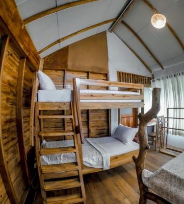 LAMIACEAE WOOD CABIN