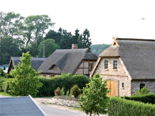Landhauswohnungen Mitten auf Rügen - Wohnung Steuerbord