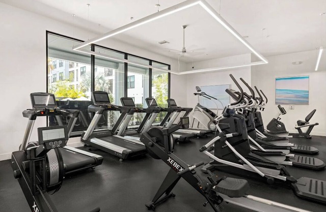 Landing at The Pointe on Westshore - 2 Bedrooms in Port Tampa City