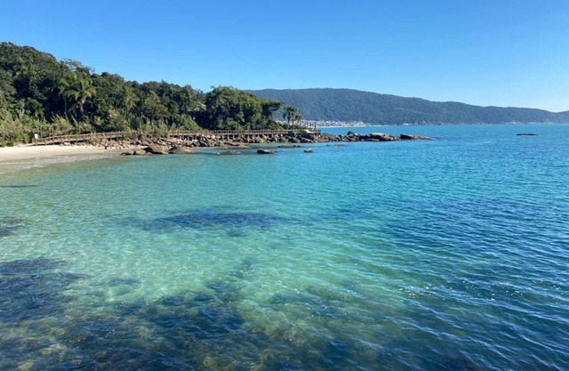 Large and comfortable apartment on the main avenue, one block from the sea, with air and WIFI