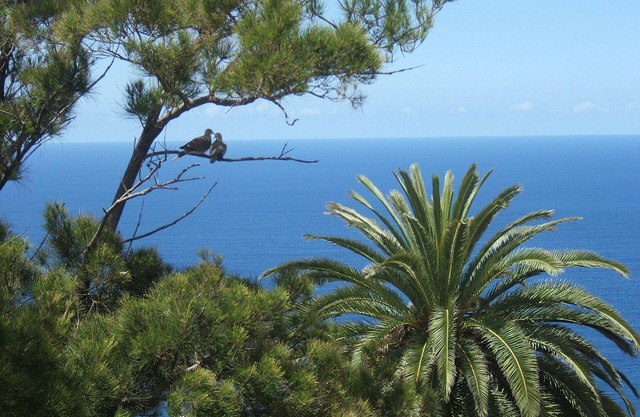 large apartment in a prime location above the sea, with pool, garden, barbecue area
