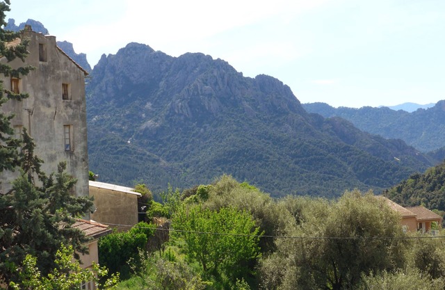 Large apartment in mansion in Vico