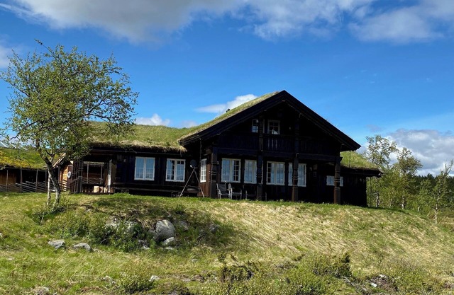 Large cozy cabin in the mountains with 13 beds and private hot tub - Jacuzzi