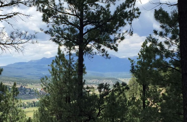 Large Family Friendly Home In The Trees Close To Attractions!