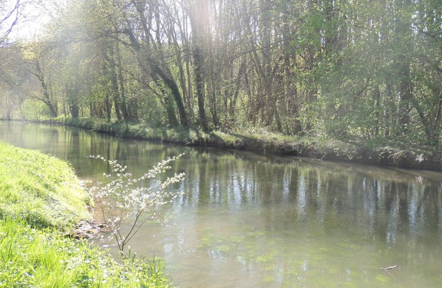 Large gite in the heart of the Loire castles