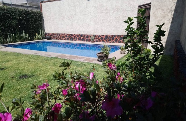 LARGE PRIVATE HOUSE AND GARDEN. PETS WELCOME