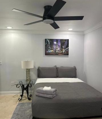 Large Private Room, Free Car Service, Walk to UM!