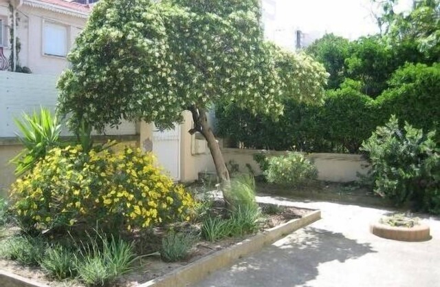 Large villa with extensive garden 50 metres from the beach