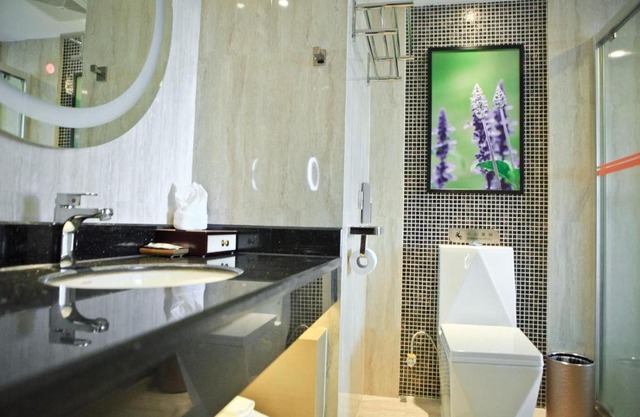 Lavande Hotels·Shenzhen Shiyan Bus Terminal