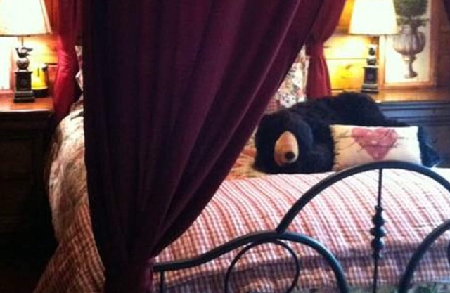 Lazy Bear Lodge, SPA, Private Deck, WIFI Dogs OK