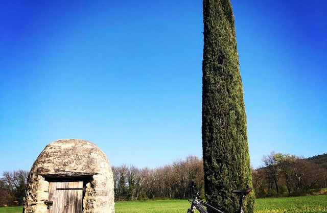 Le bois de Sibourg