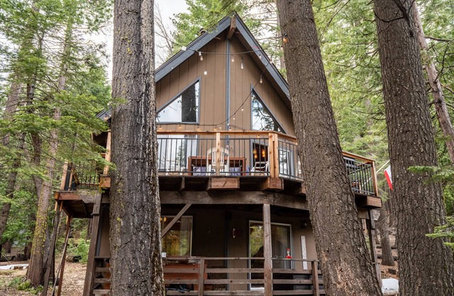 Le Chalet cabin in Dorrington