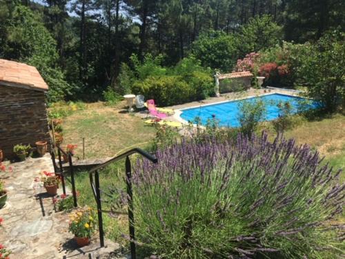 Le Chant des Pins en Cévennes